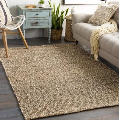 Curacao CUR-2301 2' x 3' Beige Rug