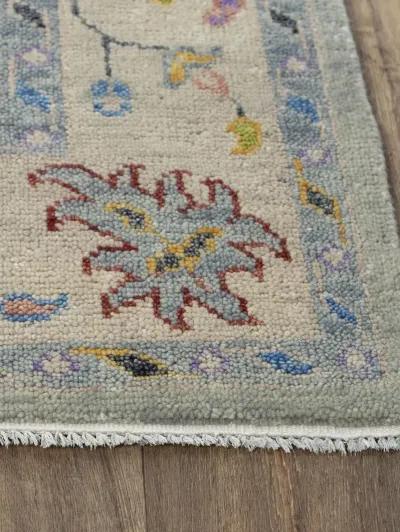 Envision ENV995 9' x 12' Rug