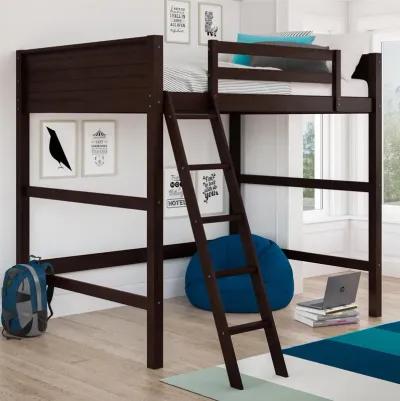 DHP Carlson Full Size Wooden Loft Bed with Ladder and Safety Railings