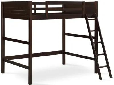 DHP Carlson Full Size Wooden Loft Bed with Ladder and Safety Railings