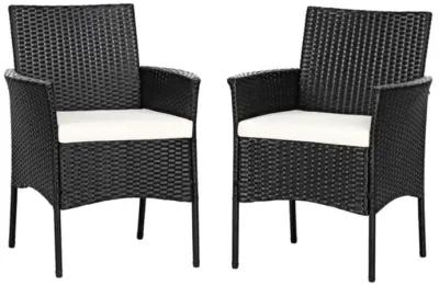 Hivvago 2 Pieces Patio Wicker Chairs with Cozy Seat Cushions