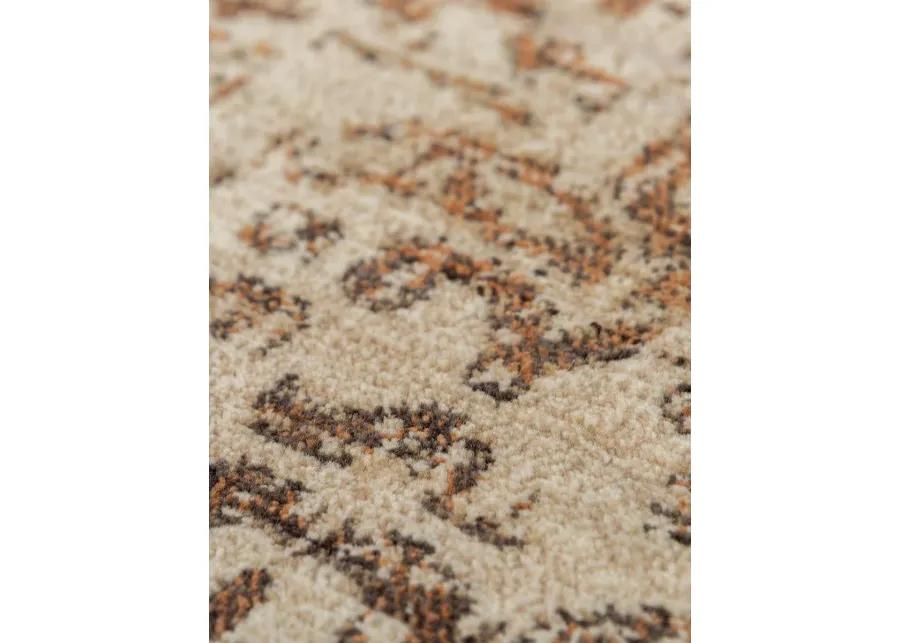 Gossamer GS435C 10' x 13' Rug