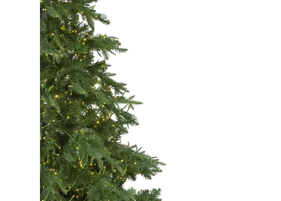 7.5' Pre-Lit Medium Mont Blanc Fir Artificial Christmas Tree - Dual Color LED Lights