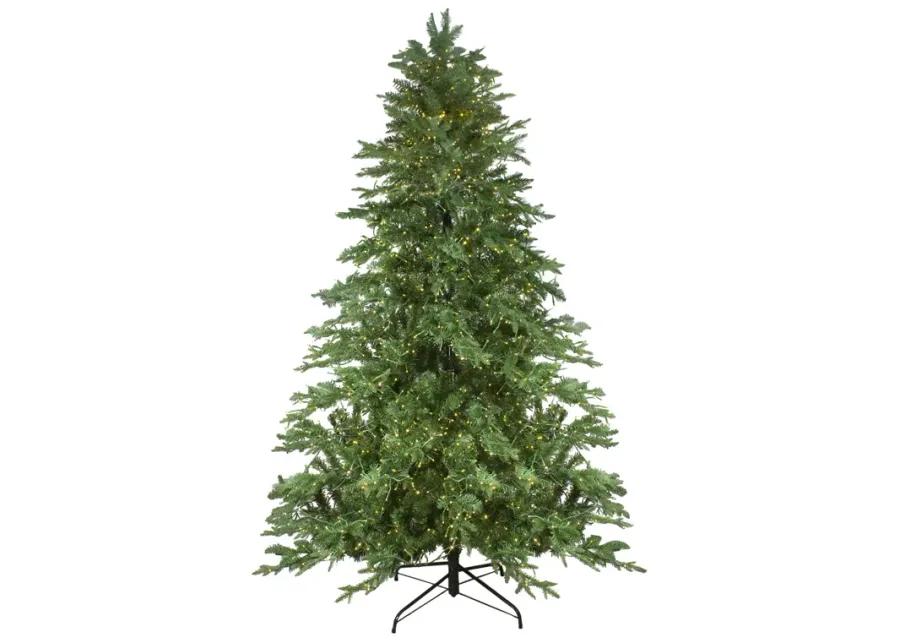 7.5' Pre-Lit Medium Mont Blanc Fir Artificial Christmas Tree - Dual Color LED Lights