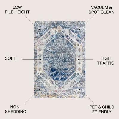 Modern Persian Boho Vintage Area Rug