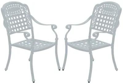 MONDAWE Cast Aluminum Patio Dining Chairs Outdoor Armchair (Set of 2)