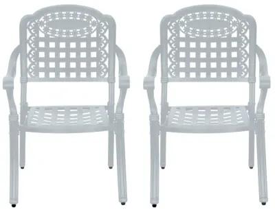 MONDAWE Cast Aluminum Patio Dining Chairs Outdoor Armchair (Set of 2)