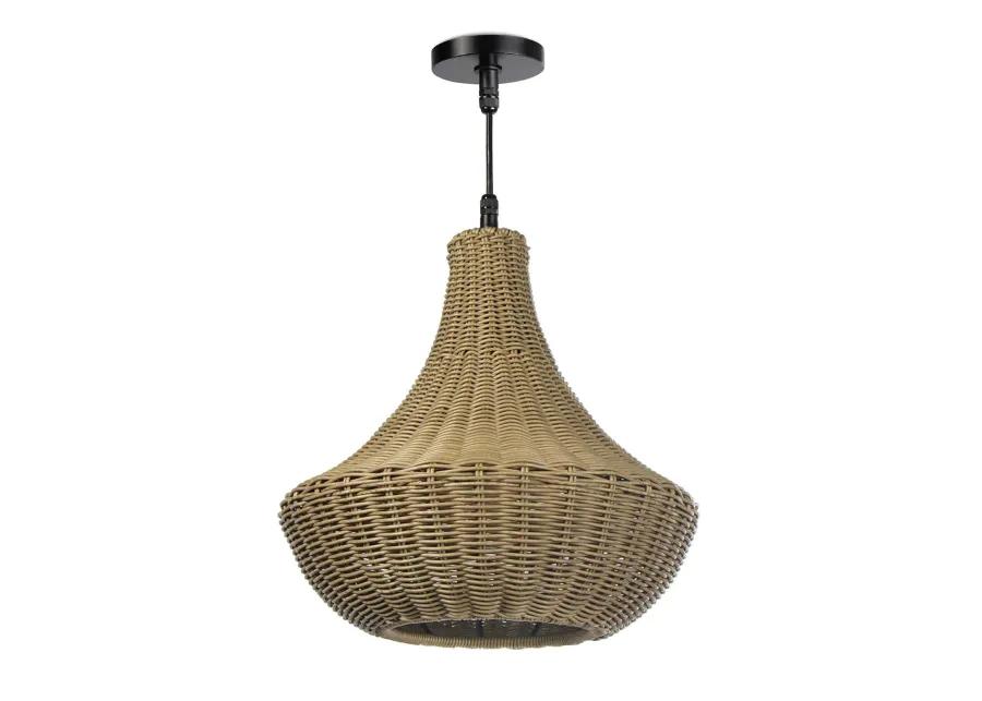 Vista Outdoor Chandelier