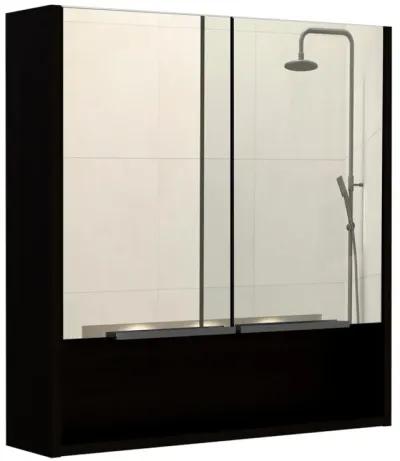 Ozark 24" Medicine cabinet with mirror