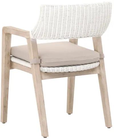 Lucia Arm Chair