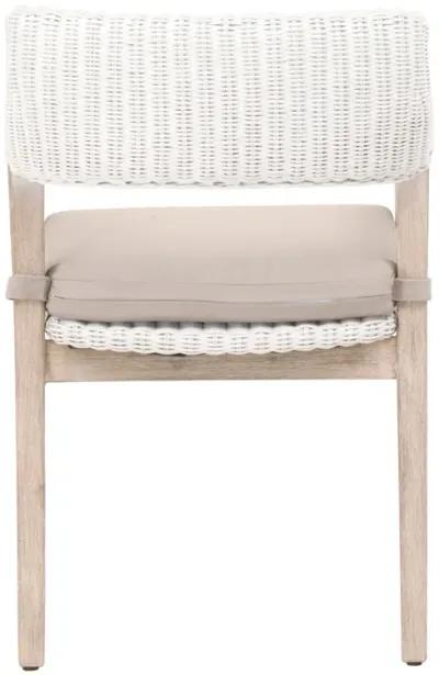 Lucia Arm Chair