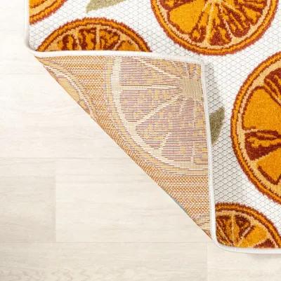 Aranciata Citrus Slice High-Low Indoor/Outdoor Area Rug