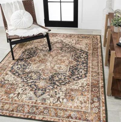 Chapell Chenille Mid-Century Medallion Machine-Washable Area Rug