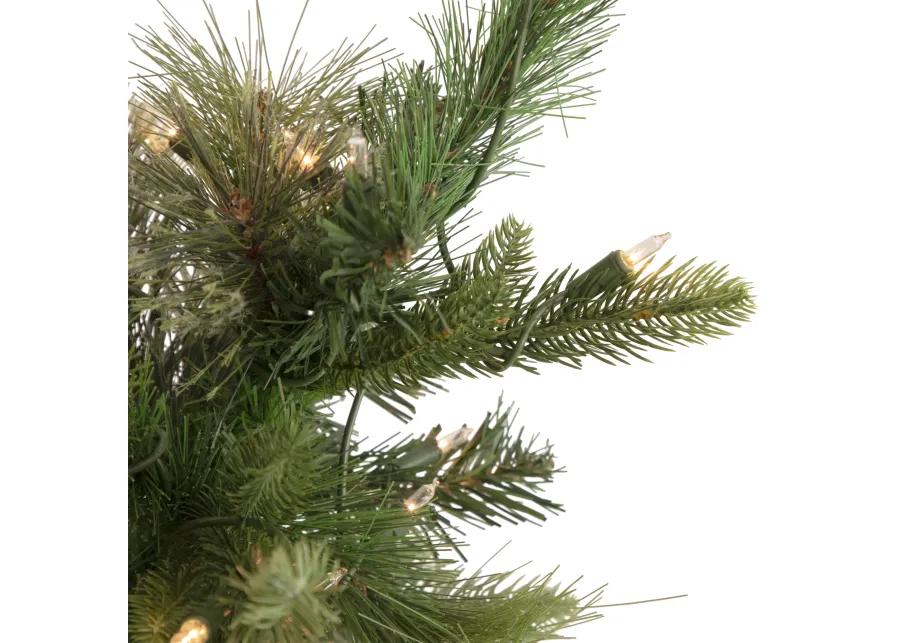 6.5' Pre-Lit Kingston Cashmere Pine Artificial Christmas Tree  Clear Lights