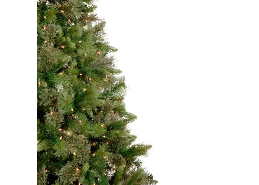 6.5' Pre-Lit Kingston Cashmere Pine Artificial Christmas Tree  Clear Lights