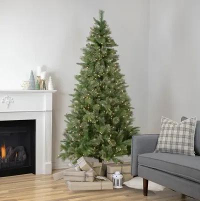 6.5' Pre-Lit Kingston Cashmere Pine Artificial Christmas Tree  Clear Lights