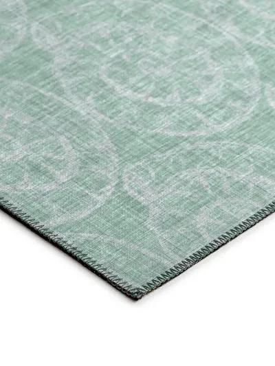 Seabreeze SZ11 Sage 30" x 46" Rug