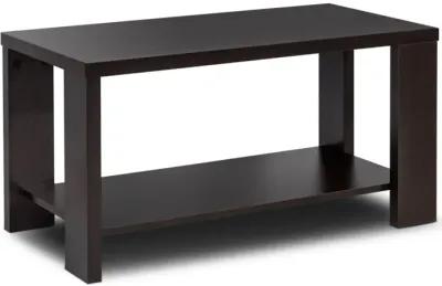 Rectangular Cocktail Coffee Table with Storage Shelf