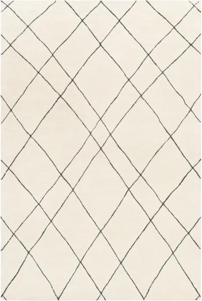 Sinop SNP-2304 8' x 10' Beige Rug