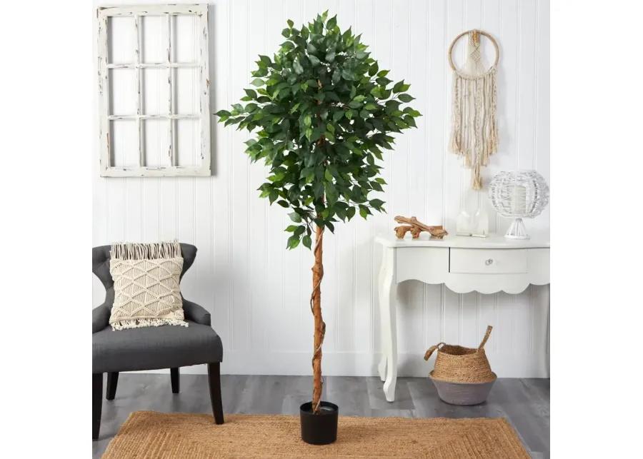 HomPlanti 6 Feet Ficus Artificial Tree