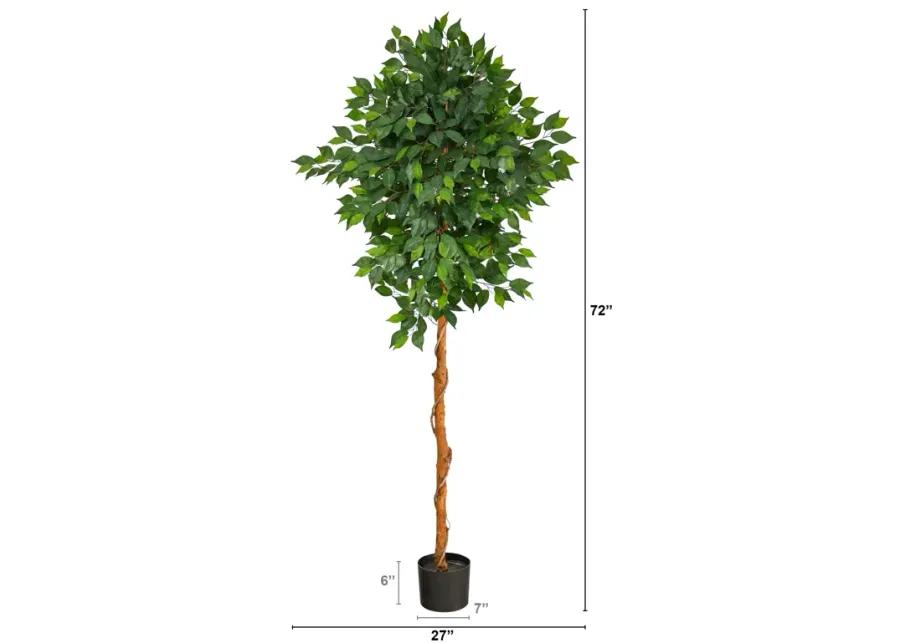 HomPlanti 6 Feet Ficus Artificial Tree