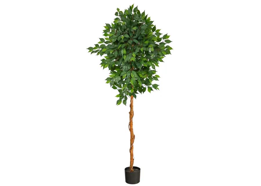 HomPlanti 6 Feet Ficus Artificial Tree