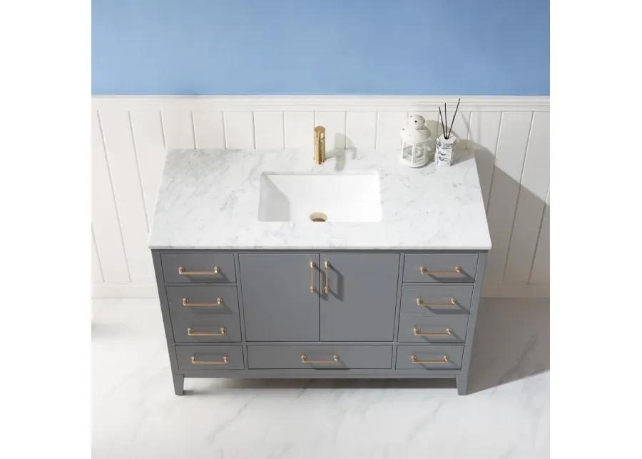 Altair 48 Single Bathroom Vanity Set in Gray without Mirror