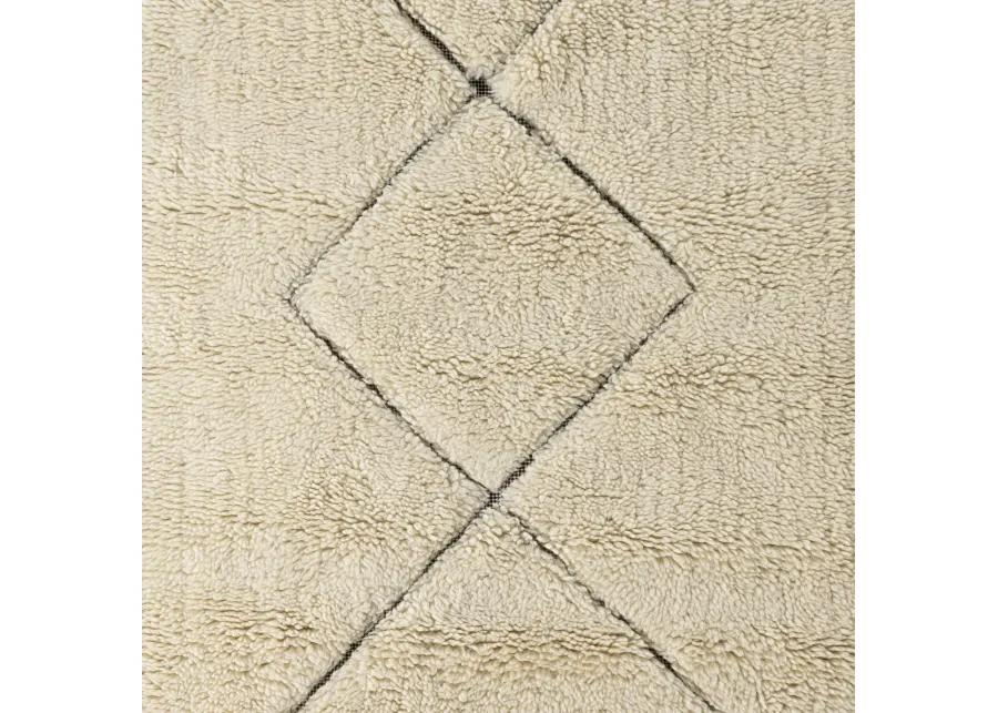 9'x12' Beni Rug