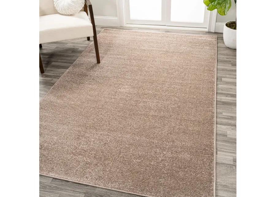 Haze Solid Low-Pile Area Rug