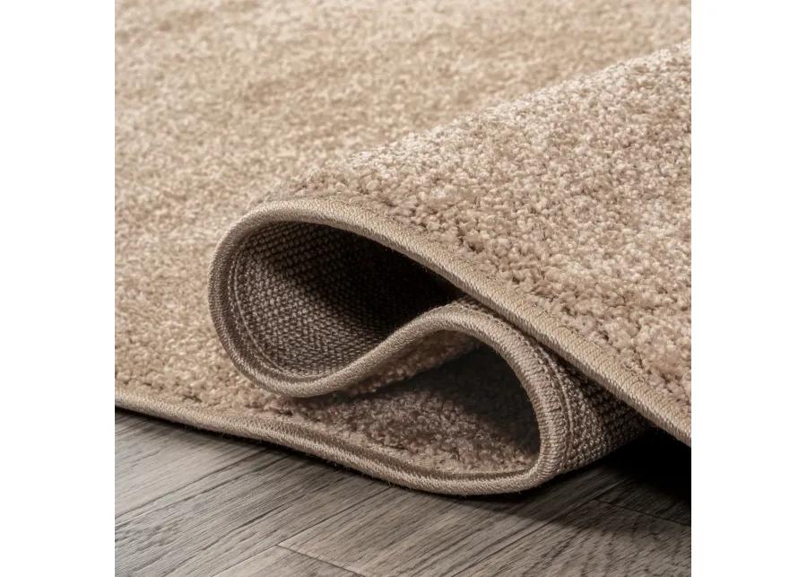 Haze Solid Low-Pile Area Rug