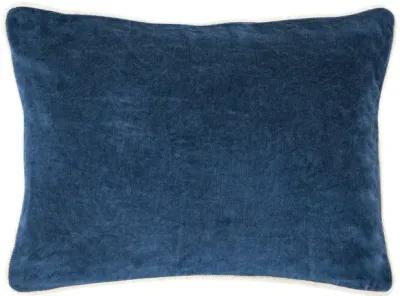 Heirloom Velvet Pillow