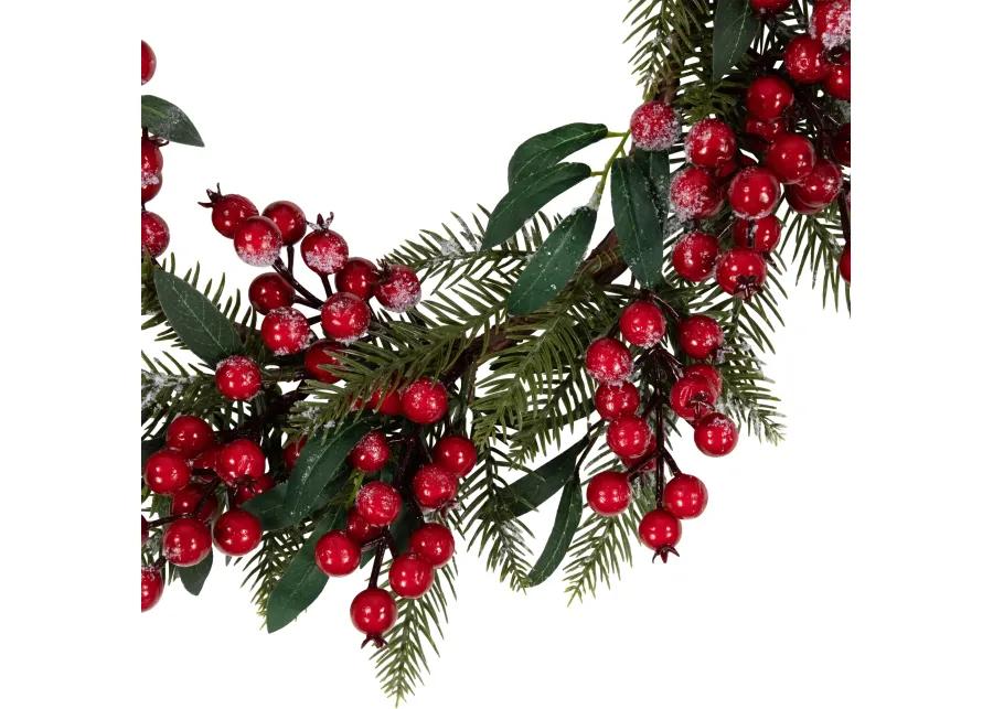 Frosted Red Berries and Foliage Artificial Christmas Wreath 18-Inch  Unlit