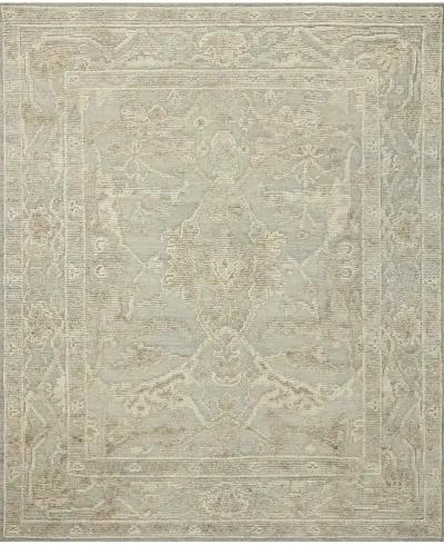 Emilia EMI03 Sky/Natural 9'6" x 13'6" Rug