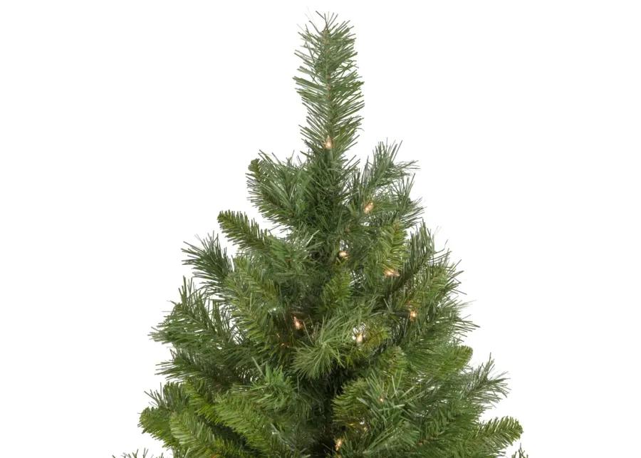 6.5' Pre-Lit Chatham Pine Artificial Christmas Tree  Clear Lights