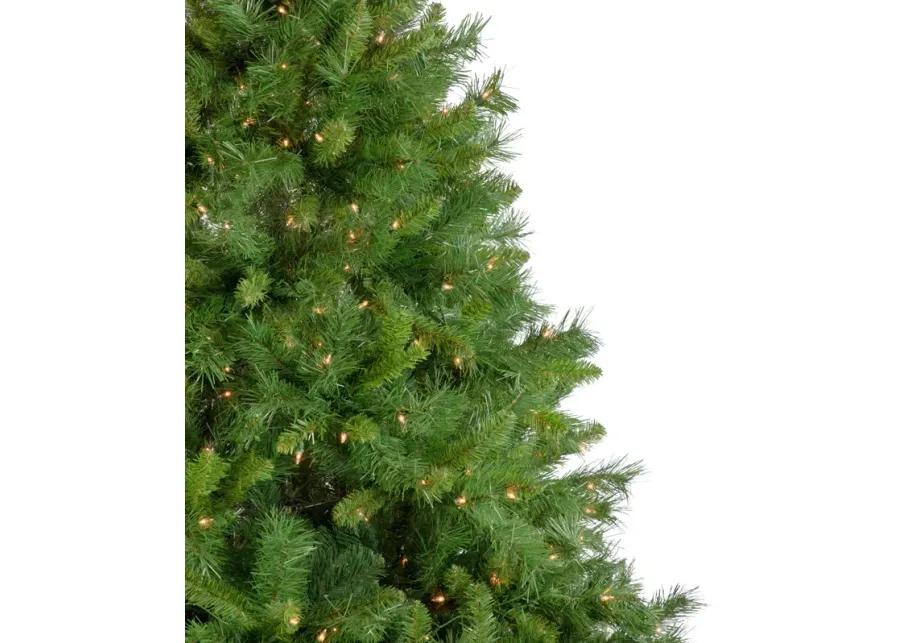 6.5' Pre-Lit Chatham Pine Artificial Christmas Tree  Clear Lights