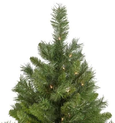 6.5' Pre-Lit Chatham Pine Artificial Christmas Tree  Clear Lights