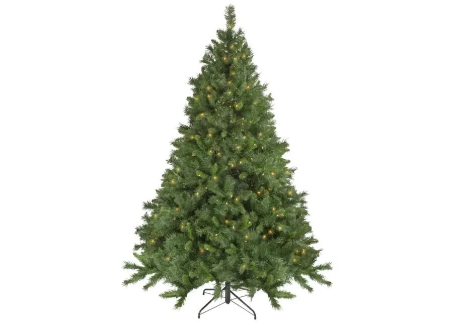 6.5' Pre-Lit Chatham Pine Artificial Christmas Tree  Clear Lights