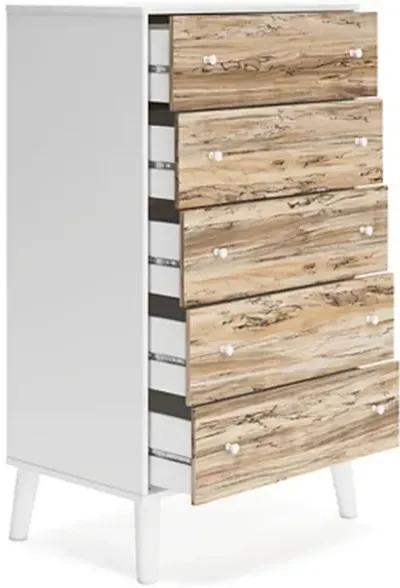 Piperton 5 Drawer Chest of Drawers in White