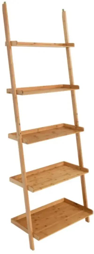 Hivvago 5-Tier Ladder Shelf Bamboo Bookshelf Wall-Leaning Storage Display Plant Stand-Natural