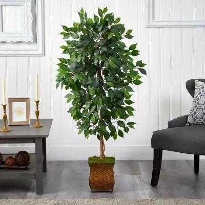 HomPlanti 51 Inches Ficus Artificial Tree in Metal Planter