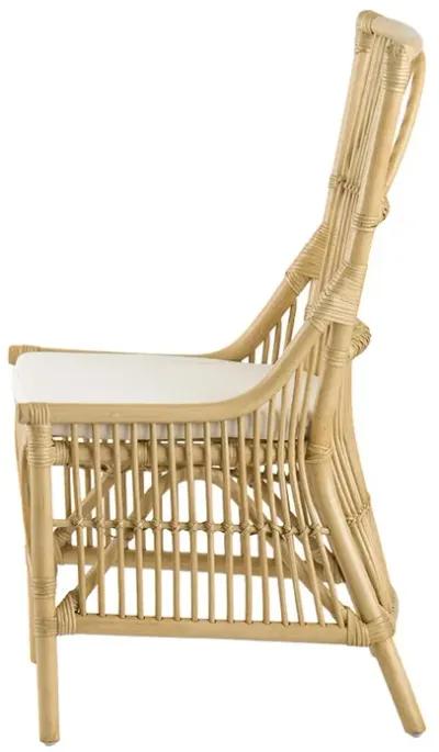 23 Inch Rattan Dining Side Chair, Soft Padded Seat, Natural Brown, White - Benzara