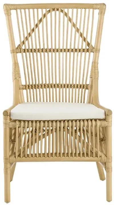 23 Inch Rattan Dining Side Chair, Soft Padded Seat, Natural Brown, White - Benzara