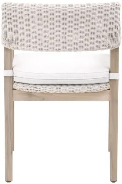 Lucia Outdoor Arm Chair