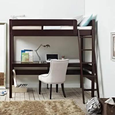 DHP Harlan Twin Size Loft Bed with Desk and Ladder, Espresso