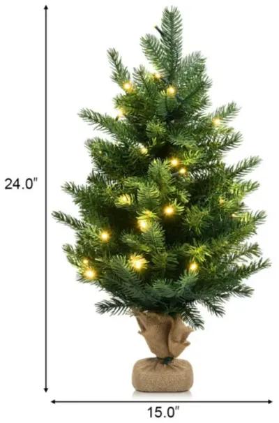 24 Inch Tabletop Fir Artificial Christmas Tree with LED Lights