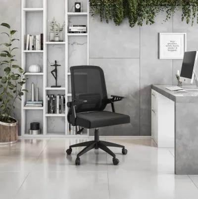 Ergonomic Office Mesh Chair, Black