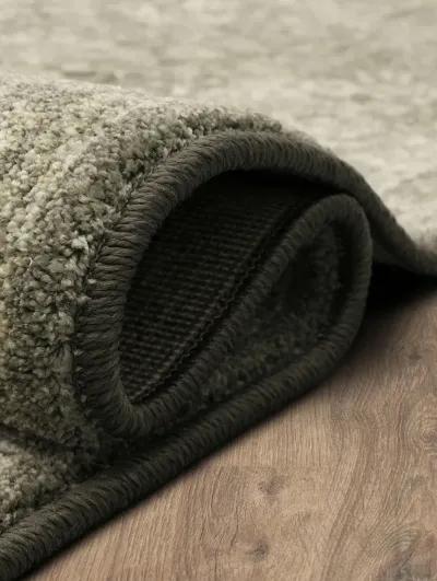 Euphoria Ayr Willow gray 2' 4" X 7' 10" Rug