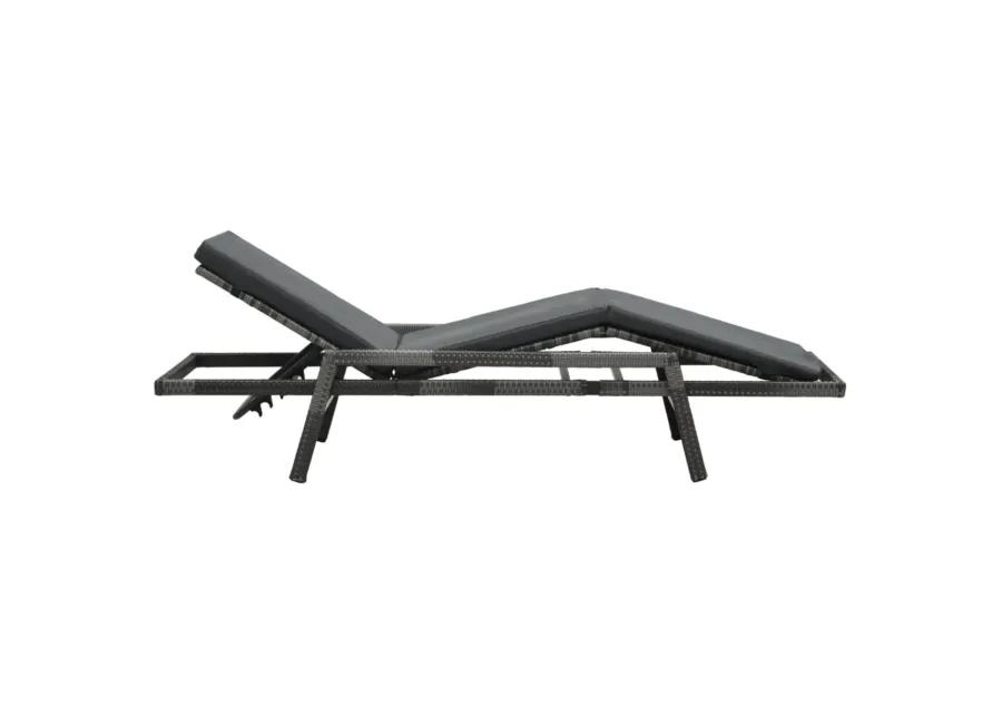 vidaXL Sun Lounger with Cushion Poly Rattan Gray