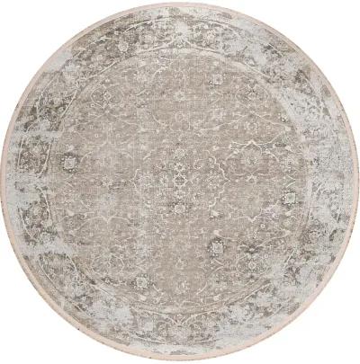 Marbella MB2 Taupe 6' Rug