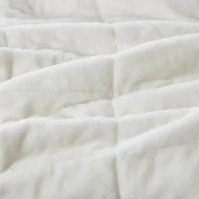 Belen Kox Coleman Reversible Down Alternative Blanket, Belen Kox